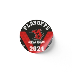 Saale Bulls - Aufkleber - Playoffs 2024