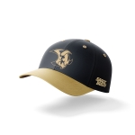 Saale Bulls - Curved-Cap - black/gold - Logo - 55cm