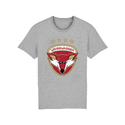 Lausitzer Füchse - T-Shirt - Hellgrau - Big Logo - Gr. XL