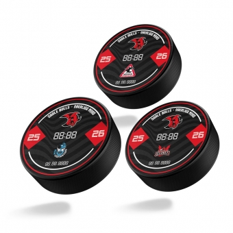 Saale Bulls - Puck - Spieltag - 2025-26