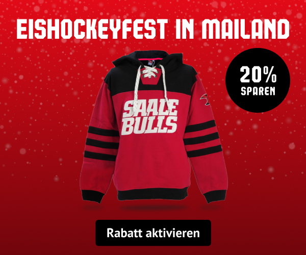 Saale Bulls - Hockey Hoodie Block - red