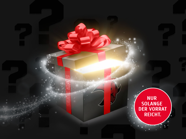 Mystery-Box der Halle Saale Bulls